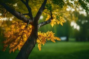 un árbol con amarillo hojas en el antecedentes. generado por ai foto