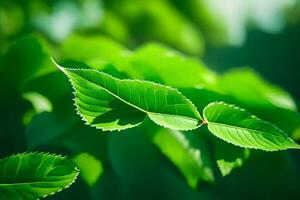 green leaves, nature, nature photography, nature, nature photography, nature, nature photography, nature. AI-Generated photo