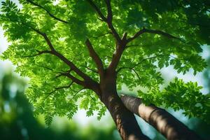 un árbol con verde hojas y luz de sol. generado por ai foto