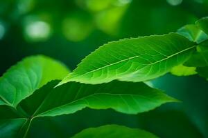 verde hojas en un árbol. generado por ai foto