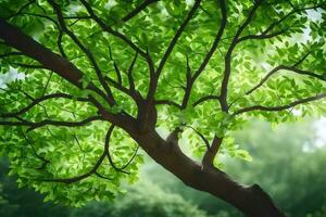 un árbol con verde hojas en el antecedentes. generado por ai foto