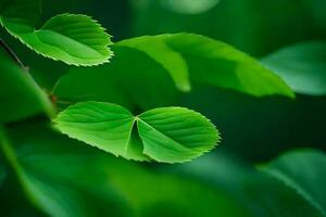 green leaves on a tree. AI-Generated photo