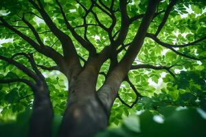 a tree with green leaves and a bright sun. AI-Generated photo