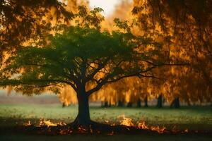 a tree with flames around it in the middle of a field. AI-Generated photo