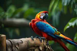 a colorful parrot sitting on a branch. AI-Generated photo