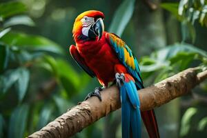 a colorful parrot sits on a branch in the forest. AI-Generated photo