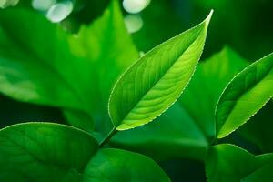 verde hojas en un árbol. generado por ai foto