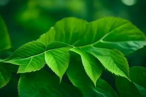 a close up of green leaves on a tree. AI-Generated photo