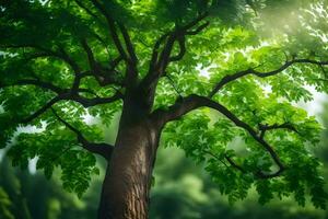 a tree with green leaves and sunlight shining through. AI-Generated photo