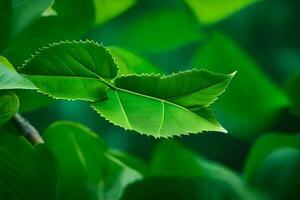 un hoja es mostrado en el medio de un verde árbol. generado por ai foto