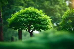 un pequeño árbol en el medio de un verde bosque. generado por ai foto