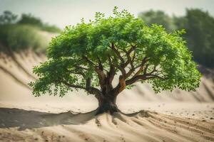 a tree in the desert. AI-Generated photo