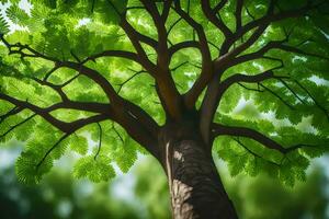 a tree is shown in a photo with green leaves. AI-Generated