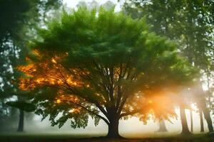 a tree with bright light shining through it. AI-Generated photo