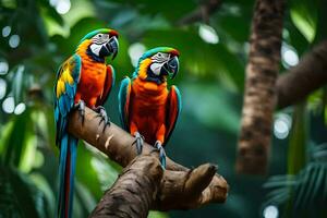 two colorful parrots sitting on a branch. AI-Generated photo