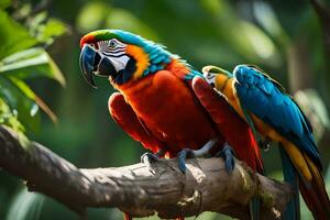 two colorful parrots sitting on a branch. AI-Generated photo