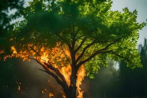a tree is burning in the middle of the field. AI-Generated photo