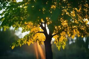 el Dom brilla mediante el hojas de un árbol. generado por ai foto