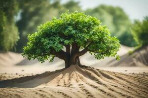 a tree growing in the sand. AI-Generated photo