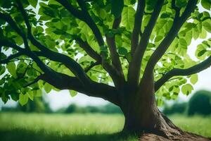 a tree in the middle of a field. AI-Generated photo