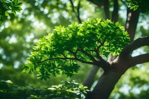 a tree with green leaves in the sunlight. AI-Generated photo