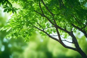 a tree with green leaves in front of a green background. AI-Generated photo