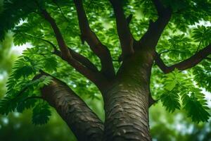 a tree with green leaves and a green background. AI-Generated photo