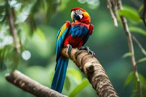 a colorful parrot sits on a branch. AI-Generated photo