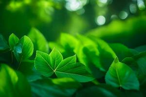 green leaves in the forest. AI-Generated photo