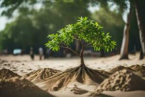 un pequeño árbol creciente fuera de el arena en el medio de un campo. generado por ai foto