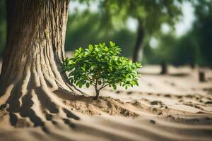 a small tree growing out of the sand. AI-Generated photo