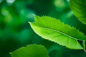 a close up of a green leaf. AI-Generated photo