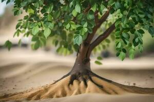 un árbol con raíces creciente fuera de el arena. generado por ai foto