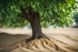 a tree with roots growing out of the sand. AI-Generated photo