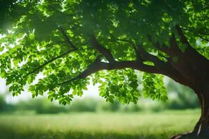a tree is in the middle of a field. AI-Generated photo