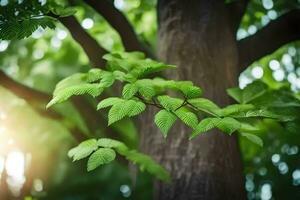 photo wallpaper the sun, leaves, tree, green, the forest, the sun, the trees. AI-Generated