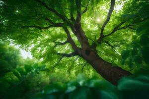 photo wallpaper the sky, trees, leaves, green, sunlight, the sun, the trees,. AI-Generated