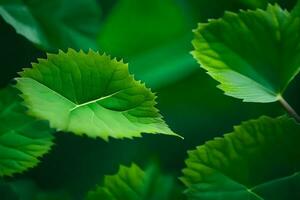 fotografía - verde hojas por palanqueta krámer. generado por ai foto