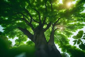 the sun shines through the leaves of a tree. AI-Generated photo