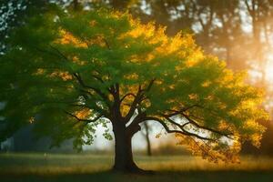 a tree in the sun with the sun shining through it. AI-Generated photo