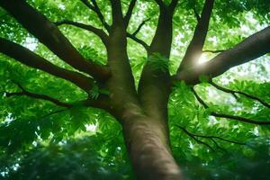 el Dom brilla mediante el hojas de un árbol. generado por ai foto