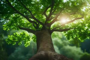 a tree with green leaves and sunlight shining through it. AI-Generated photo