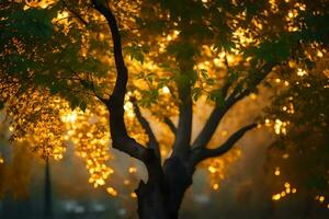 a tree with yellow leaves in the fog. AI-Generated photo