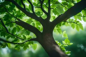 a tree with green leaves and sunlight. AI-Generated photo