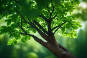 un árbol con verde hojas en el luz de sol. generado por ai foto
