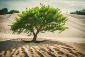 a lone tree in the desert. AI-Generated photo