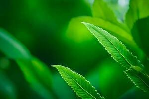 a close up of green leaves on a tree. AI-Generated photo