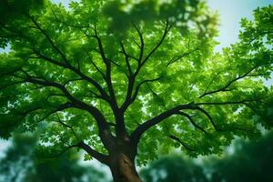 un árbol es mostrado en el primer plano con verde hojas. generado por ai foto