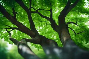 un árbol con verde hojas y luz de sol. generado por ai foto