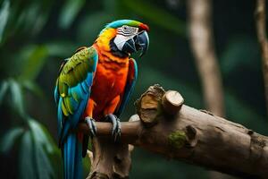 a colorful parrot sits on a branch. AI-Generated photo